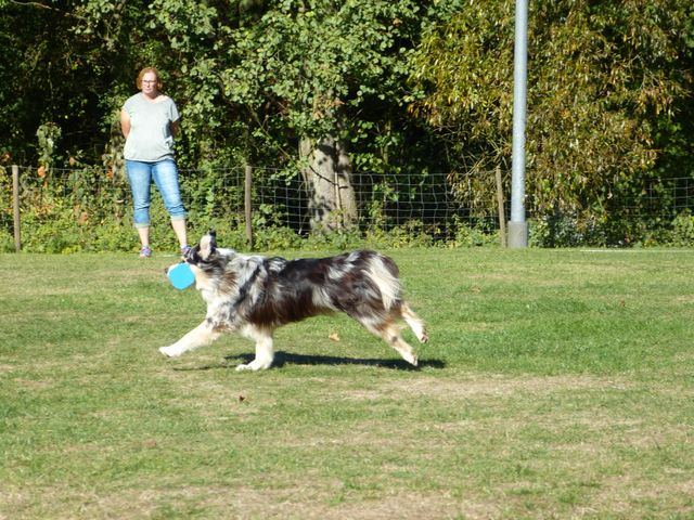 Obi-pruefung-herbst 2018