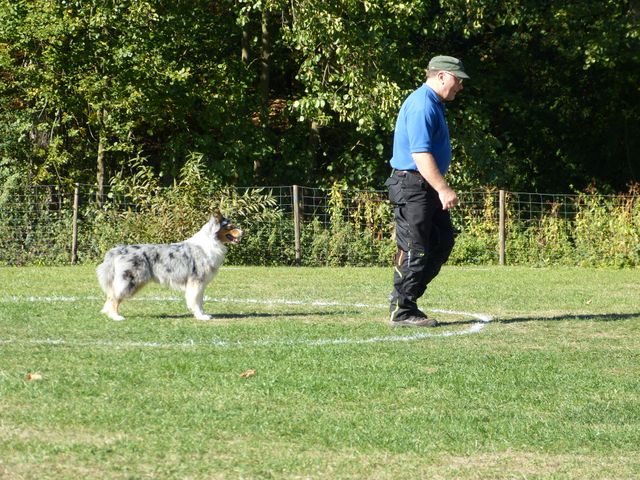 Obi-pruefung-herbst 2018