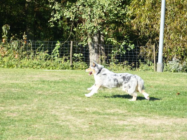 Obi-pruefung-herbst 2018