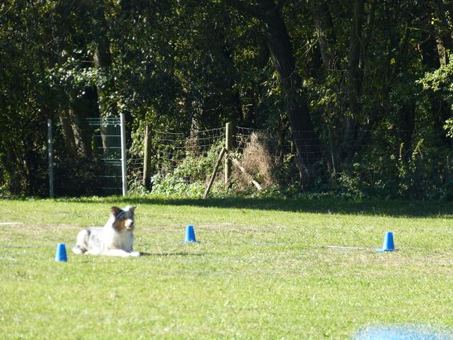 Obi-pruefung-herbst 2018