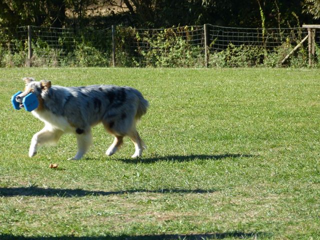 Obi-pruefung-herbst 2018