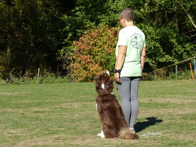Obi-pruefung-herbst 2018