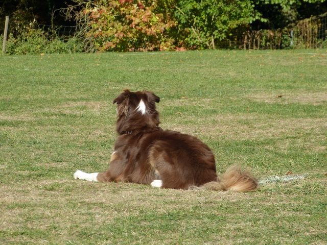 Obi-pruefung-herbst 2018