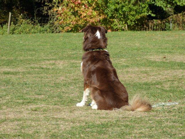 Obi-pruefung-herbst 2018