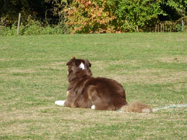 Obi-pruefung-herbst 2018