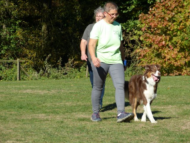 Obi-pruefung-herbst 2018