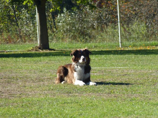 Obi-pruefung-herbst 2018