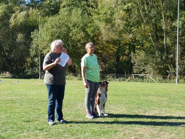 Obi-pruefung-herbst 2018