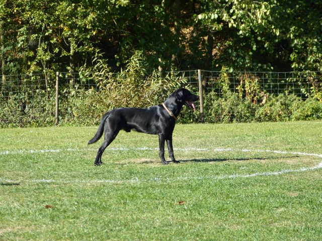 Obi-pruefung-herbst 2018