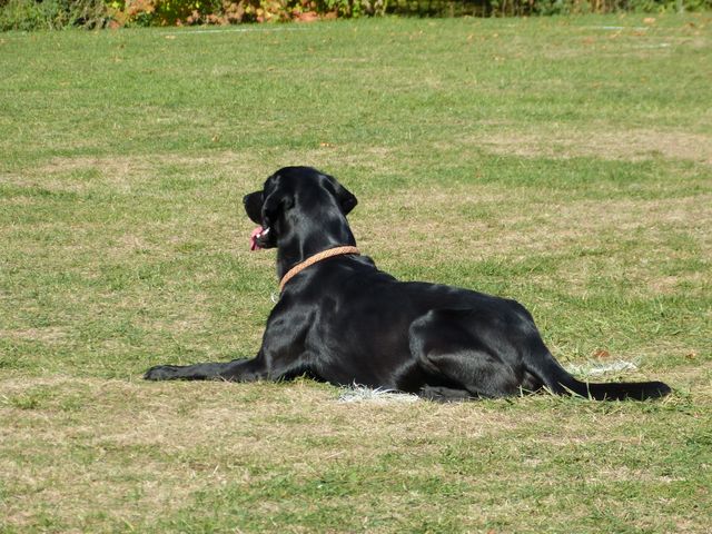 Obi-pruefung-herbst 2018