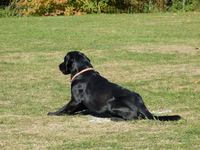 Obi-pruefung-herbst 2018
