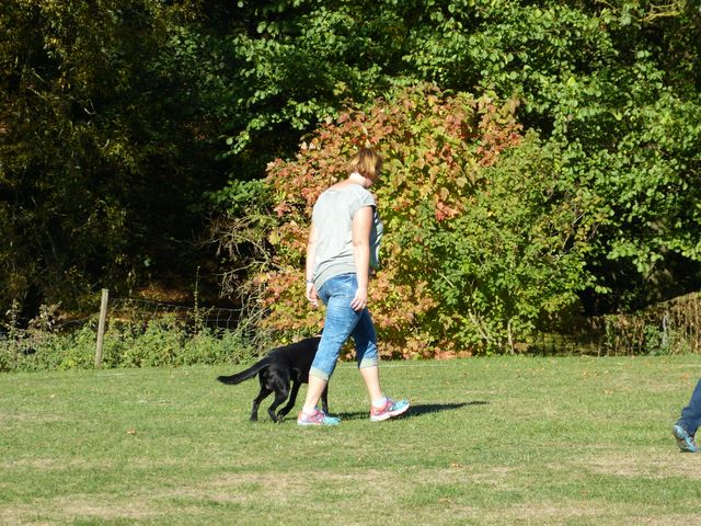 Obi-pruefung-herbst 2018