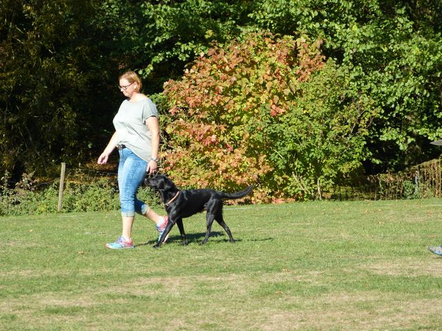 Obi-pruefung-herbst 2018