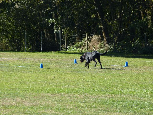 Obi-pruefung-herbst 2018