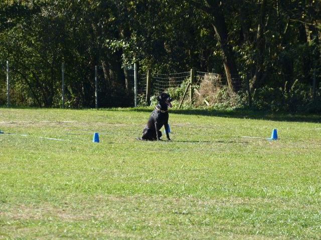Obi-pruefung-herbst 2018