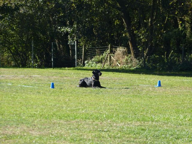 Obi-pruefung-herbst 2018