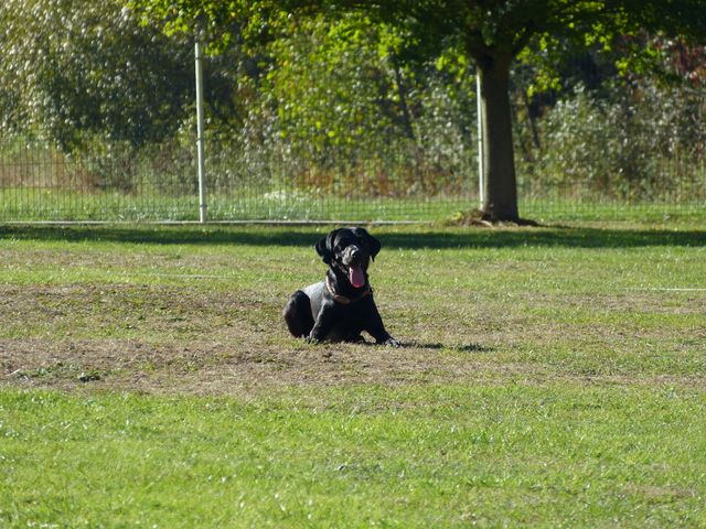 Obi-pruefung-herbst 2018