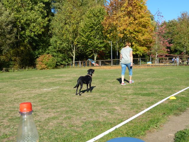 Obi-pruefung-herbst 2018