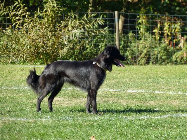 Obi-pruefung-herbst 2018