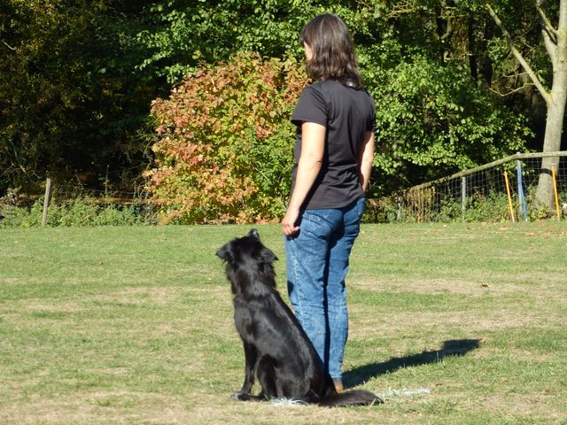 Obi-pruefung-herbst 2018