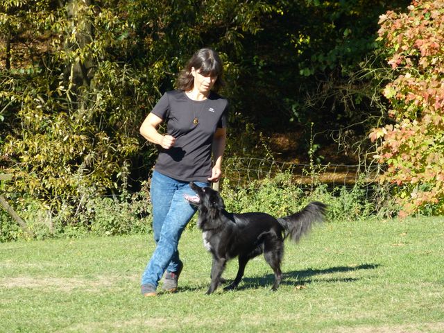 Obi-pruefung-herbst 2018