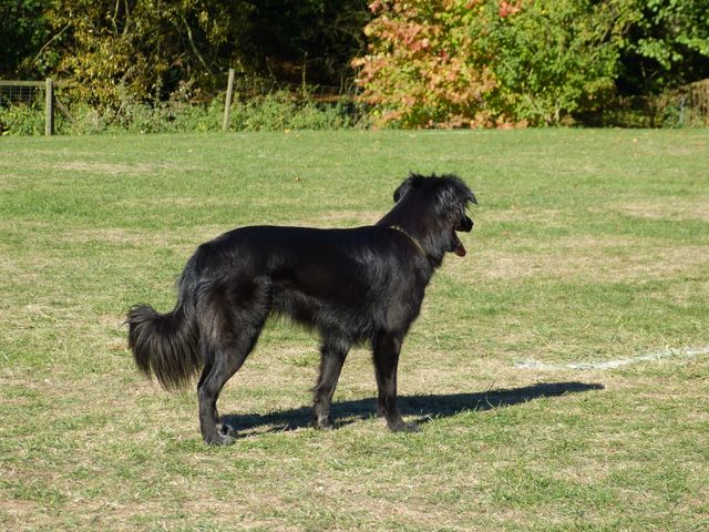 Obi-pruefung-herbst 2018