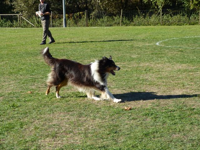Obi-pruefung-herbst 2018