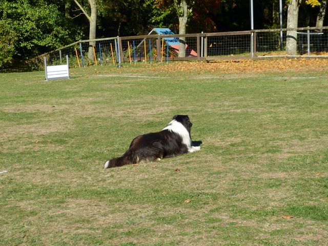 Obi-pruefung-herbst 2018