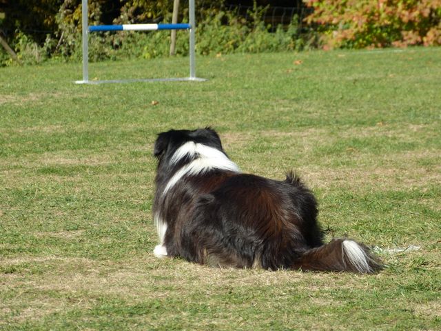 Obi-pruefung-herbst 2018