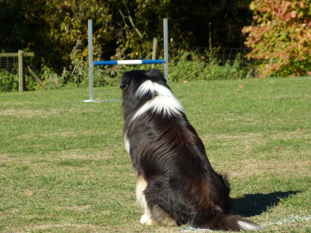 Obi-pruefung-herbst 2018