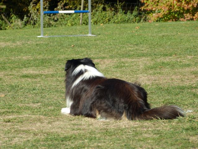 Obi-pruefung-herbst 2018