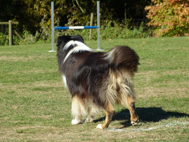 Obi-pruefung-herbst 2018