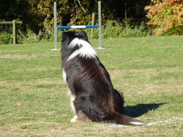 Obi-pruefung-herbst 2018