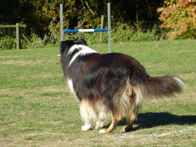 Obi-pruefung-herbst 2018