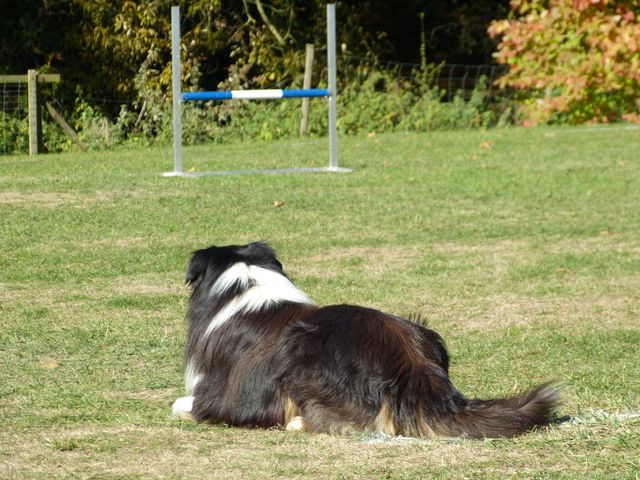 Obi-pruefung-herbst 2018
