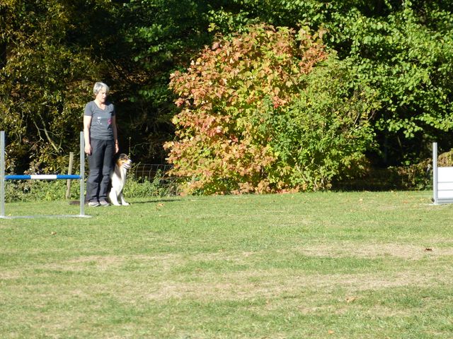 Obi-pruefung-herbst 2018
