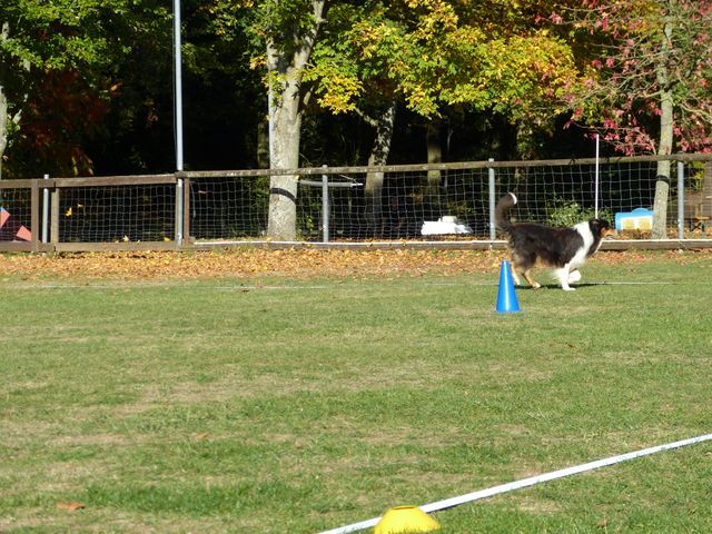Obi-pruefung-herbst 2018