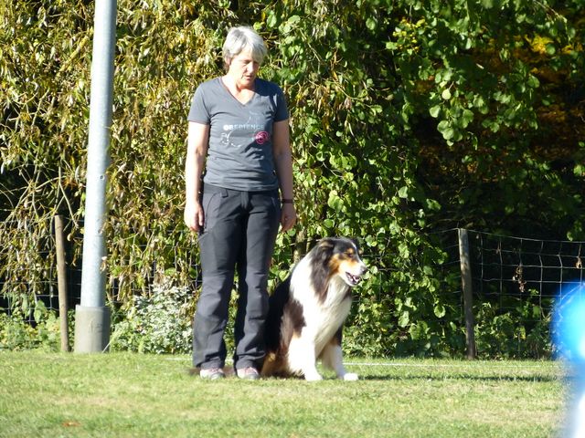 Obi-pruefung-herbst 2018