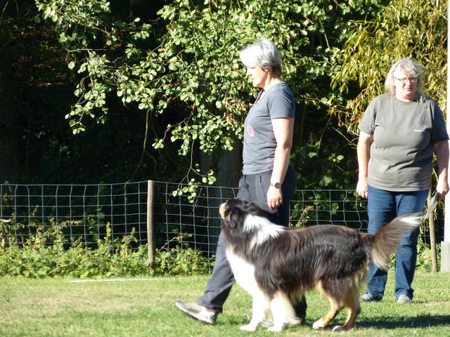 Obi-pruefung-herbst 2018