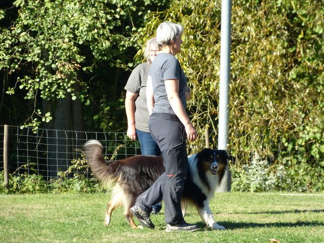 Obi-pruefung-herbst 2018