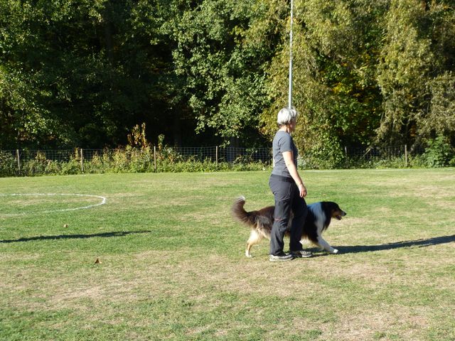 Obi-pruefung-herbst 2018