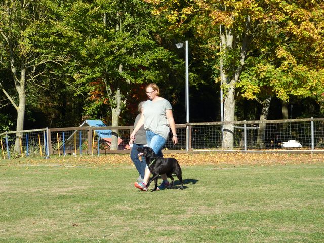 Obi-pruefung-herbst 2018