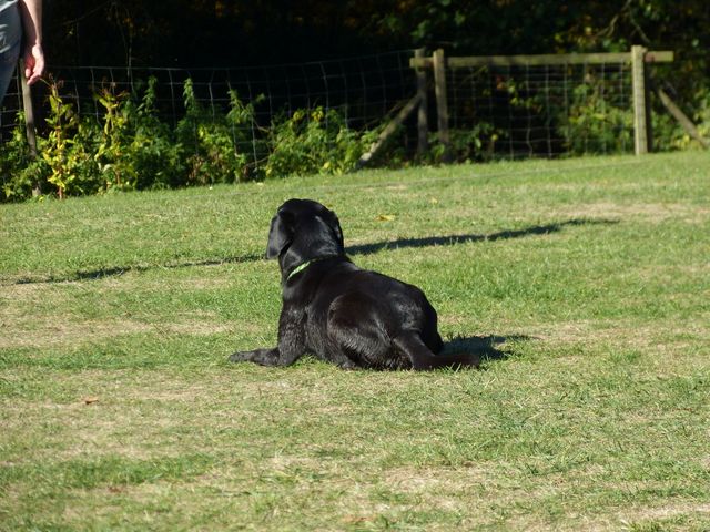Obi-pruefung-herbst 2018
