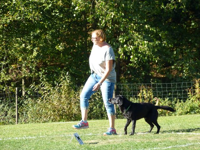 Obi-pruefung-herbst 2018