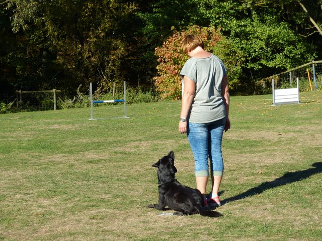 Obi-pruefung-herbst 2018