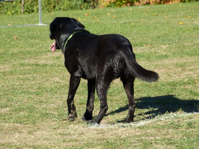 Obi-pruefung-herbst 2018
