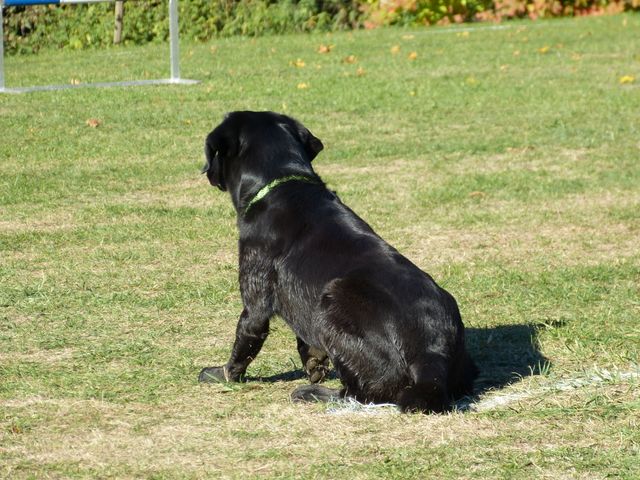 Obi-pruefung-herbst 2018