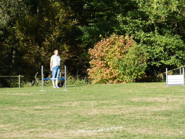 Obi-pruefung-herbst 2018