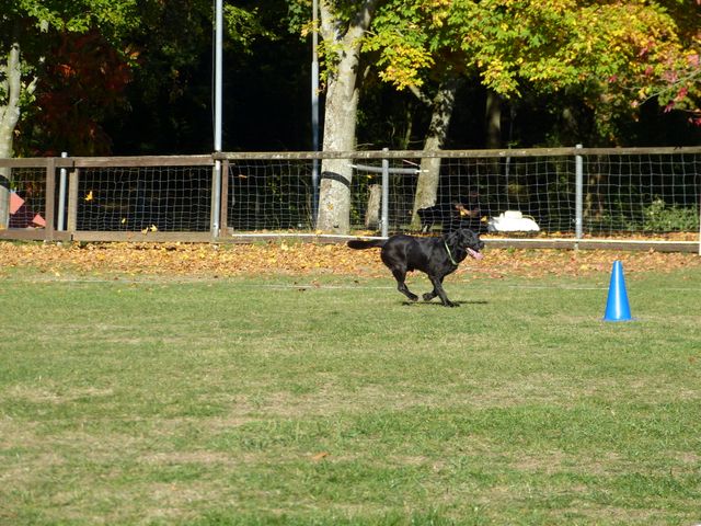 Obi-pruefung-herbst 2018