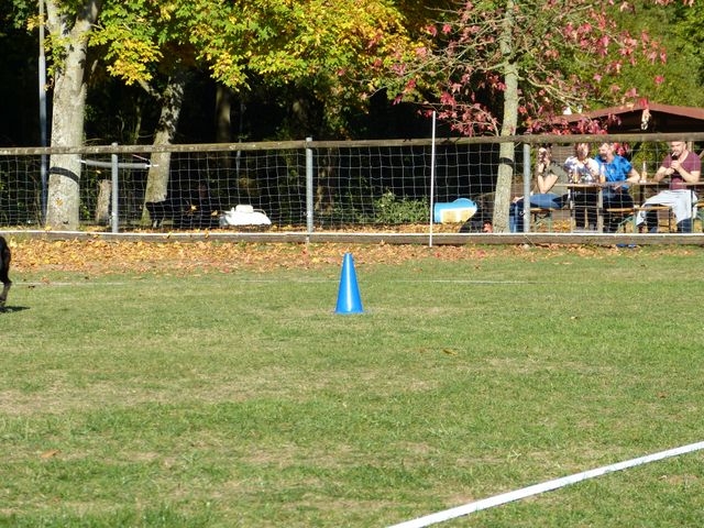 Obi-pruefung-herbst 2018